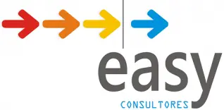 logo de easy consultores